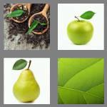 4 pics 1 word 4 letters leaf