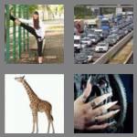 4 pics 1 word 4 letters long