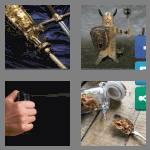 4 pics 1 word 4 letters mace