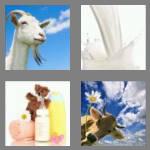 4 pics 1 word 4 letters milk