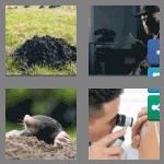 4 pics 1 word 4 letters mole