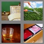 4 pics 1 word 4 letters neat