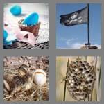 4 pics 1 word 4 letters nest