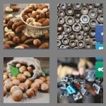 4 pics 1 word 4 letters nuts