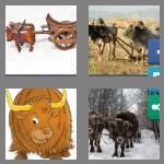 4 pics 1 word 4 letters oxen