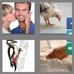4 pics 1 word 4 letters peck