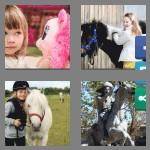 4 pics 1 word 4 letters pony