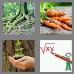 4 pics 1 word 4 letters root