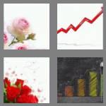 4 pics 1 word 4 letters rose