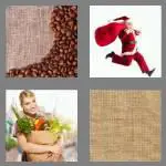 4 pics 1 word 4 letters sack