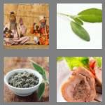4 pics 1 word 4 letters sage