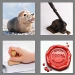 4 pics 1 word 4 letters seal