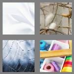 4 pics 1 word 4 letters silk