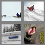 4 pics 1 word 4 letters sled