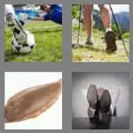 4 pics 1 word 4 letters sole
