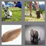 4 pics 1 word 4 letters sole