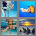4 pics 1 word 4 letters swim