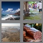 4 pics 1 word 4 letters tide