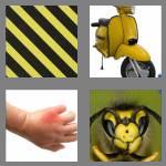 4 pics 1 word 4 letters wasp