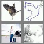 4 pics 1 word 4 letters wing
