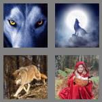 4 pics 1 word 4 letters wolf