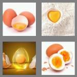 4 pics 1 word 4 letters yolk