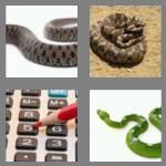 4 pics 1 word 5 letters adder