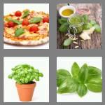 4 pics 1 word 5 letters basil