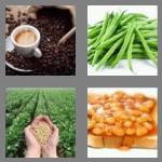 4 pics 1 word 5 letters beans