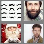 4 pics 1 word 5 letters beard