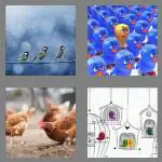 4 pics 1 word 5 letters birds