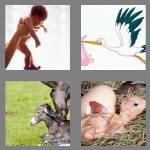 4 pics 1 word 5 letters birth