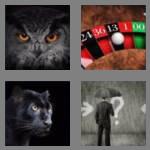 4 pics 1 word 5 letters black