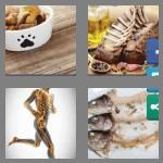 4 pics 1 word 5 letters bones