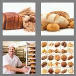 4 pics 1 word 5 letters bread