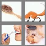 4 pics 1 word 5 letters brush