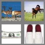 4 pics 1 word 5 letters bucks