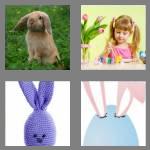 4 pics 1 word 5 letters bunny