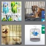 4 pics 1 word 5 letters caged