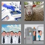 4 pics 1 word 5 letters clone