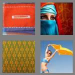 4 pics 1 word 5 letters cloth