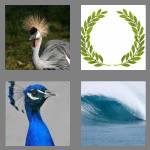 4 pics 1 word 5 letters crest