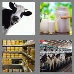 4 pics 1 word 5 letters dairy