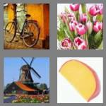 4 pics 1 word 5 letters dutch