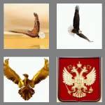 4 pics 1 word 5 letters eagle