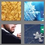 4 pics 1 word 5 letters flake