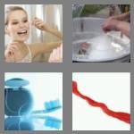 4 pics 1 word 5 letters floss