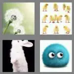 4 pics 1 word 5 letters fluff