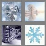 4 pics 1 word 5 letters frost