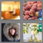 4 pics 1 word 5 letters fuzzy